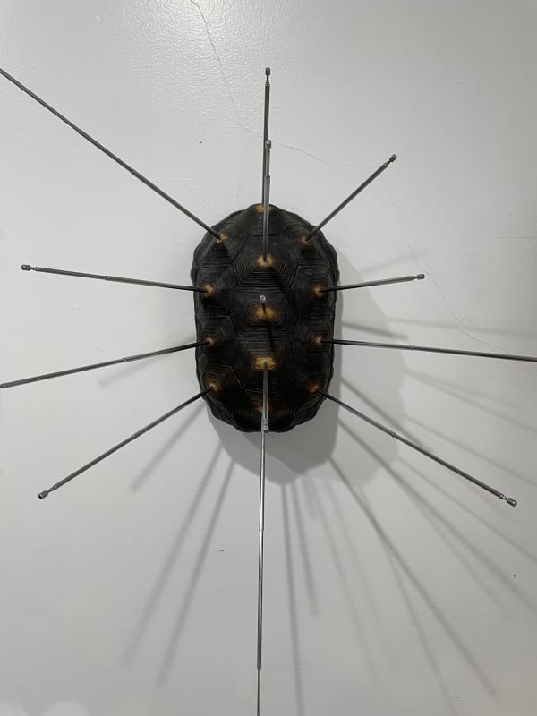 Louis Osmosis, Shell, 2020