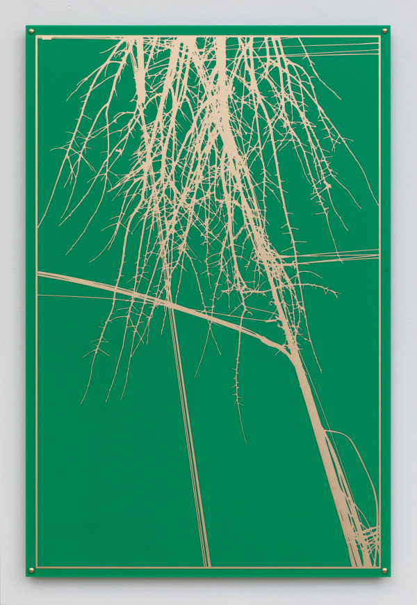 Kristyna and Marek Milde, Motherboard #22323, 2023