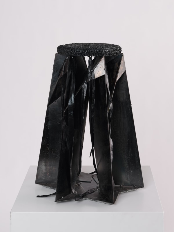 Signe Solberg, Carrier #2, 2025