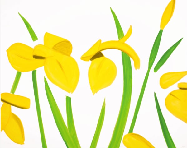 Alex Katz, Yellow Flags on White, 2023