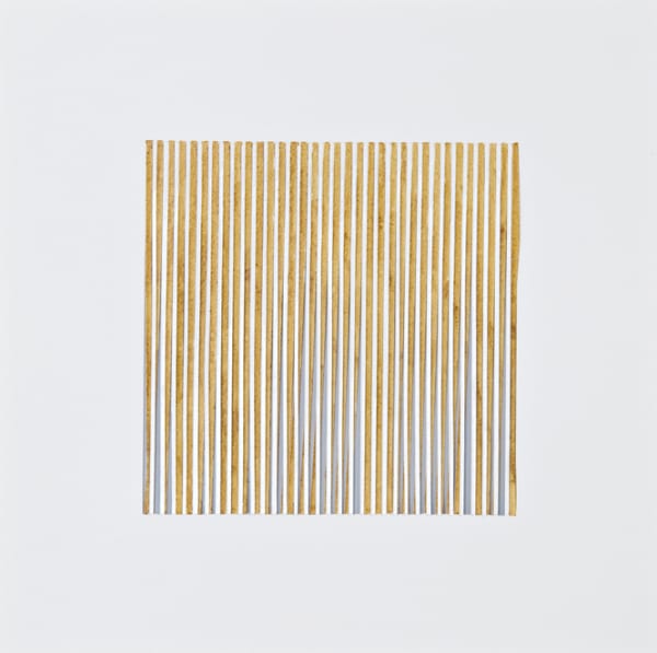 Viviane Rombaldi Seppey, Light 46, 2009