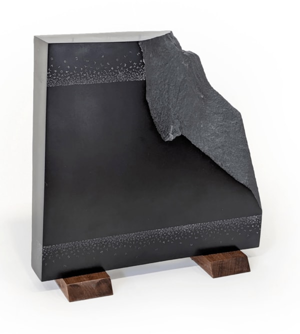 Gustavo Bonevardi, Untitled, 2014