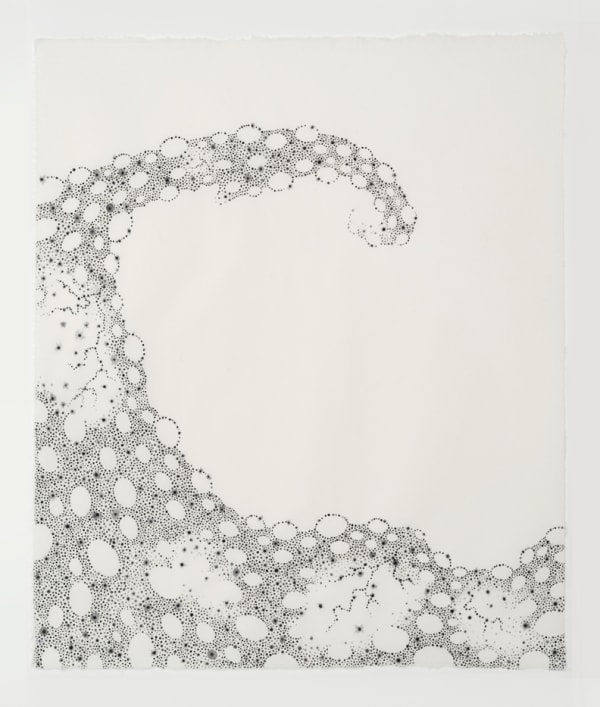 Beth Dary, Littoral Drift CC, 2017