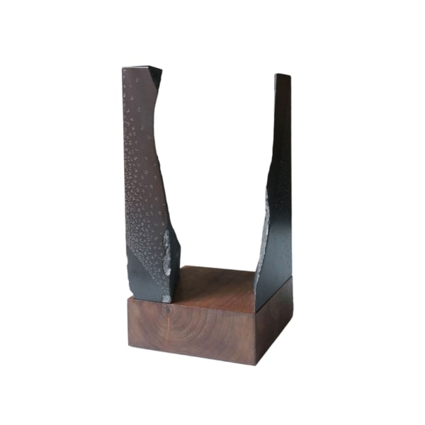 Gustavo Bonevardi, Box Interior II, 2014