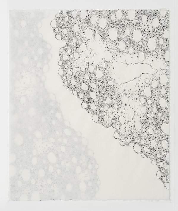 Beth Dary, Littoral Drift DEL, 2017