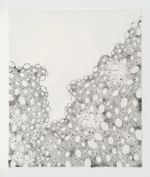 Beth Dary, Littoral Drift CT, 2017