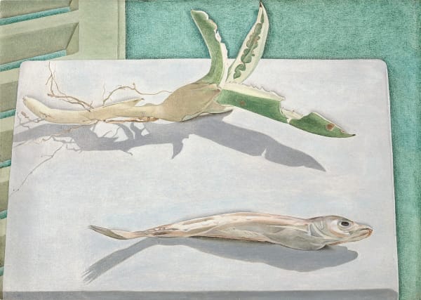 Still Life with Aloe , 1949 Oil on panel 8 ½ x 11 ¾ inches; 21.6 x 29.8 cm