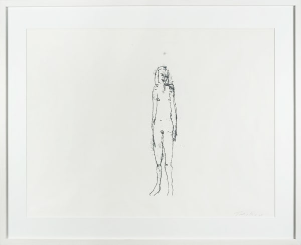 Tracey Emin, When I Think About Sex , 2005