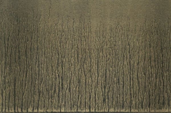 Richard Long, River Avon Mud Drawings 1, 1989