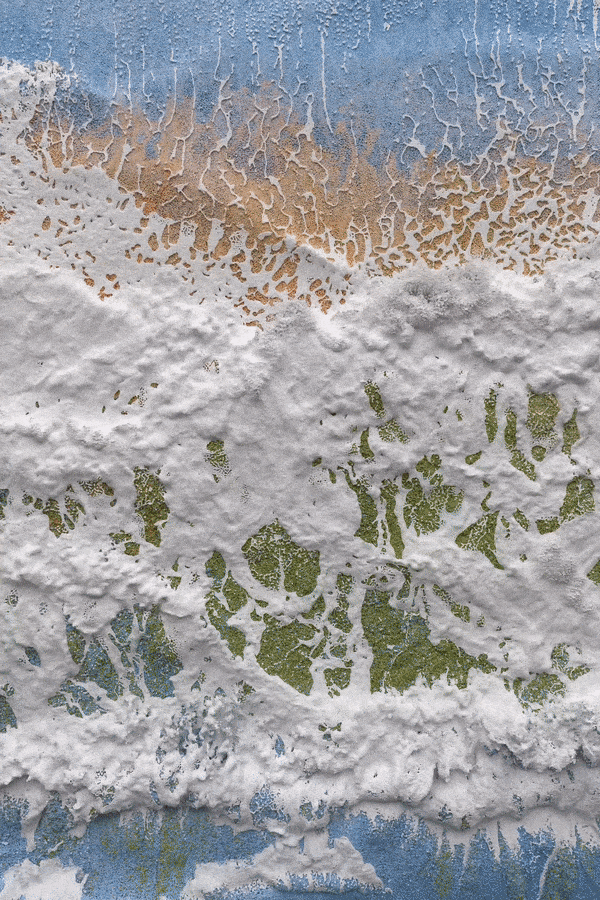 Jesse Woolston, Cacophony in Placidity, 2023