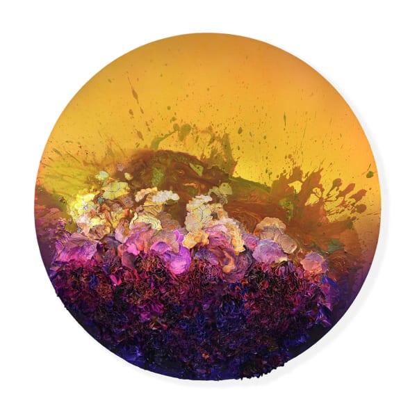 Zhuang Hong Yi, Sun Salutation