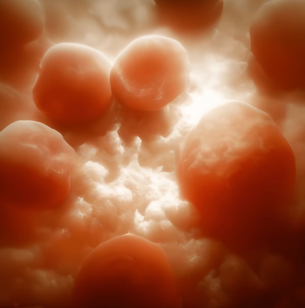 Agoria, Agoria {Bohem-IA} #28, 2023