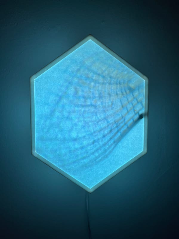 Kat Austen, Wing/net 8 Hokkaido, 2024