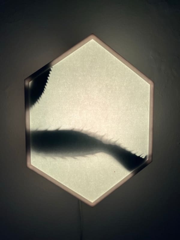 Kat Austen, Wing/net 3 Cheongsando, 2023