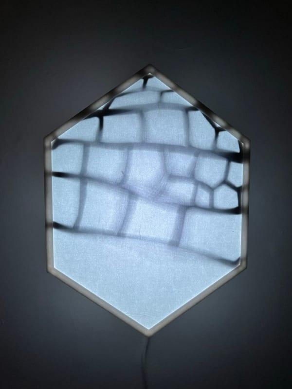 Kat Austen, Wing/net 6 Hokkaido, 2024