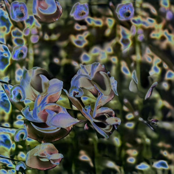 Ivona Tau, Flora Solaris VI, 2022