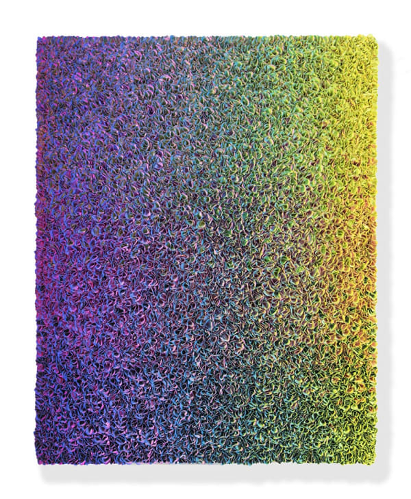 Zhuang Hong Yi, Chameleon