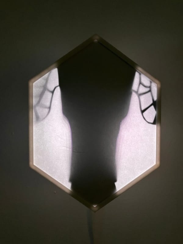 Kat Austen, Wing/net 9 Hokkaido, 2024