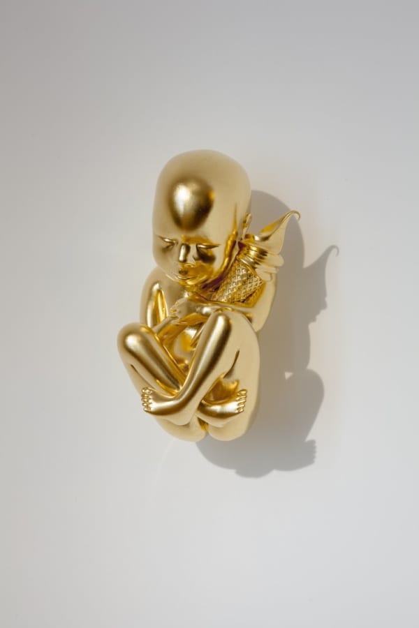 Joseph Klibansky, Gold Universe, 2018