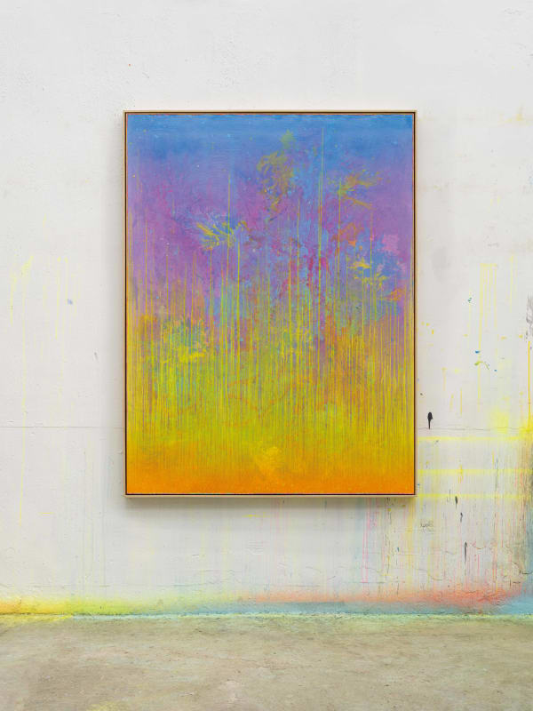 Pan Jian, Aurora Fireworks 25, 2023