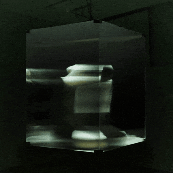 Maja Petric, Specimens of Time: Rebirth, 2025