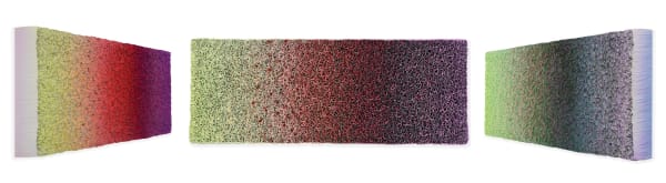 Zhuang Hong Yi, Tulip Mirage, 2025