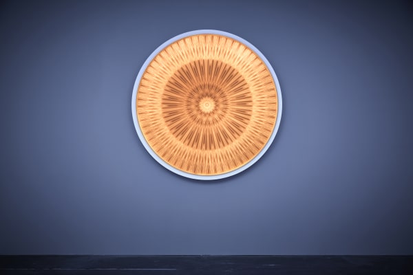 Max Patté, Night Lotus 1, 2016