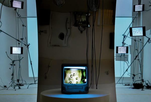 Karyn Nakamura, s_Lara Hughes Install 2 , 2025