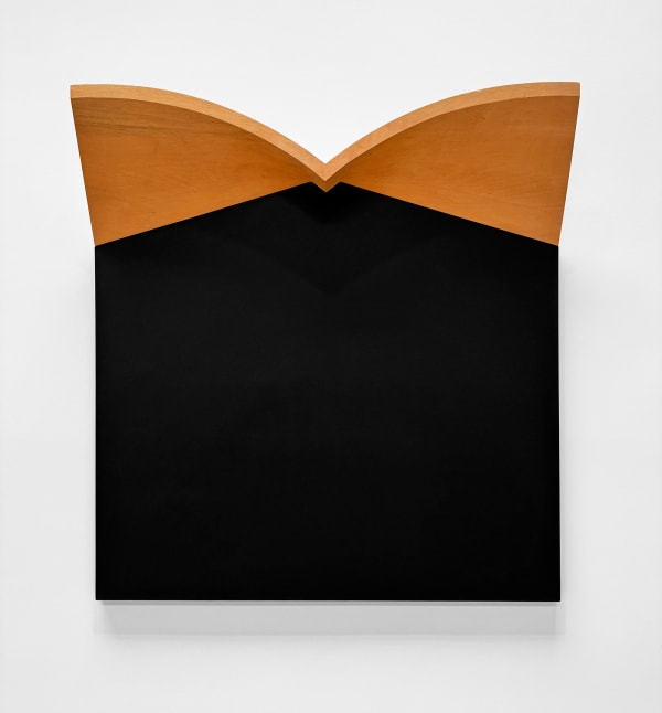 Tony DeLap, Psychic News , 1987