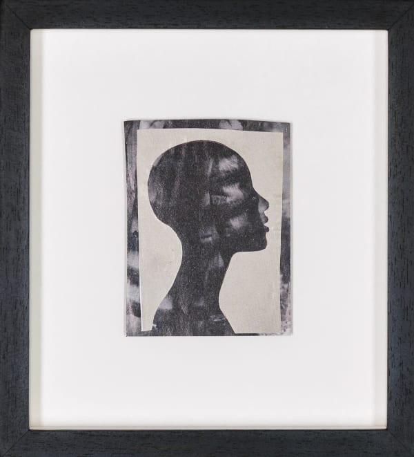 Sharon Walters, In the Shadows, 2023