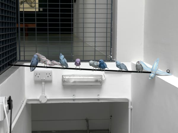 Hannah Scott, Crossing Lines, 2024