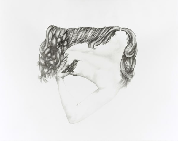 Pencil drawing of sideways human back. Top part of torso has no arm but long flowy hair sprouting from shoulder. Bottom arm reaches toward lower back to hold a hummingbird.