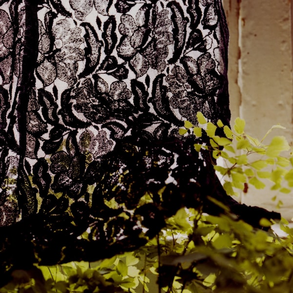 Chromogenic print of a zoomed in digital photograph of a sheer black lace curtains covering the tips of a light green leafy houseplant