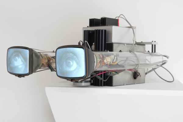 Two small screens with depicting blinking eyes connected to clear tubes and silver box in middle.