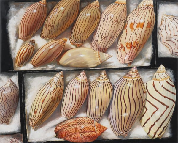 Isabella Kirkland, David's Shells 2, 2023