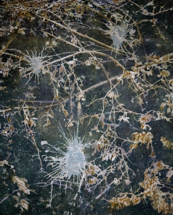 A background of a dark sky with white stars is set behind a criss-crossing pattern of brown branches and white explosions of paint.