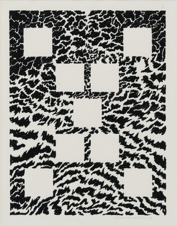 Black and white drawing with nine blank squares creating an X across the page. Black squiggles resemble fur like patterns around the cubes.