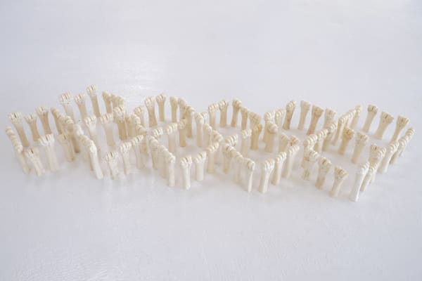 María Fernanda Cardoso American Marble, 1992 cattle bones, 90 pieces 12 x 25 x 86 in 30.5 x 63.5 x 218.4 cm