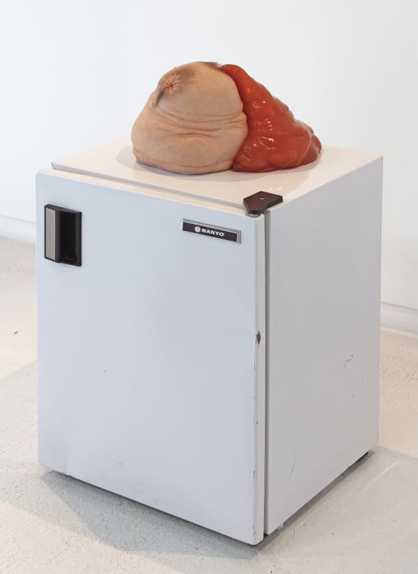 Sculpture of bulbous form with wrinkled and speckled human skin has two hairy buttholes. Out of one butthole, thick red liquid spills out. Bulbous form sits atop small white refrigerator.