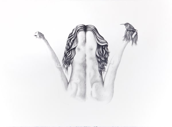 Pencil drawing of symmetrical creature in a W shape. Middle part of the W is covered in wavy hair and has nipples. Right arm appears to be a reptilian mouth and left arm holds hummingbird perched on nest of flowy hair.