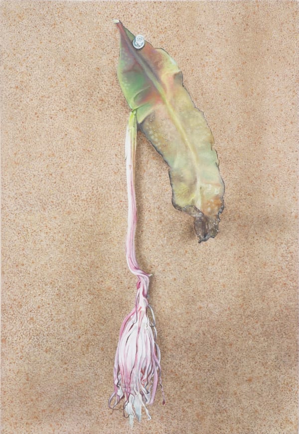 Tim Hawkinson, RIP Issey, 2022