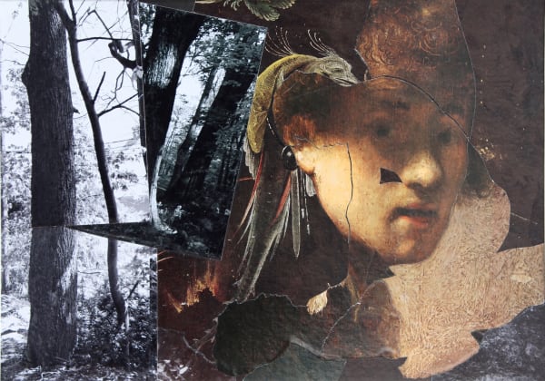 Collage of forest scenes in black and white. To the right side of the composition, a floating head of a man gazes towards the viewer, a bird perched on his ear.