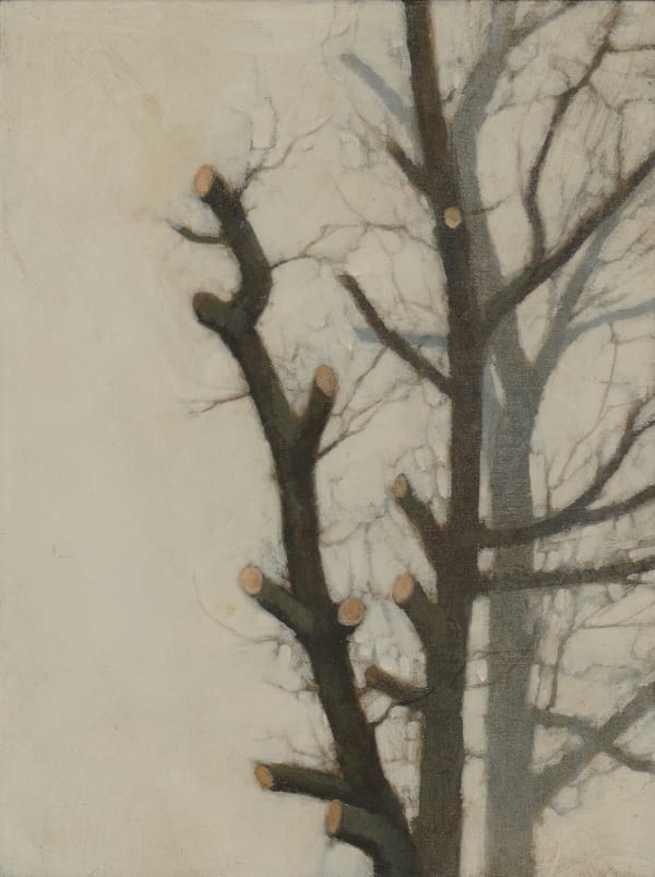 A tree trunk with its limbs cut off shoots up from the bottom of the canvas and casts its shadow on the white background.