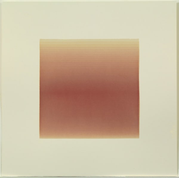 Nicole Phungrasamee Fein, 1110712, 2012