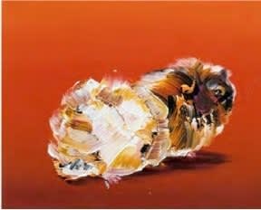 Abstract small furry animal (guinea pig) against red background.
