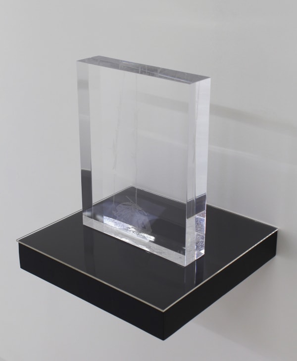 Marco Maggi, Frozen Ream, 2014