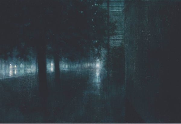 In a low visibility scene, trees and buildings are barely illuminated by bright white lights in the background.