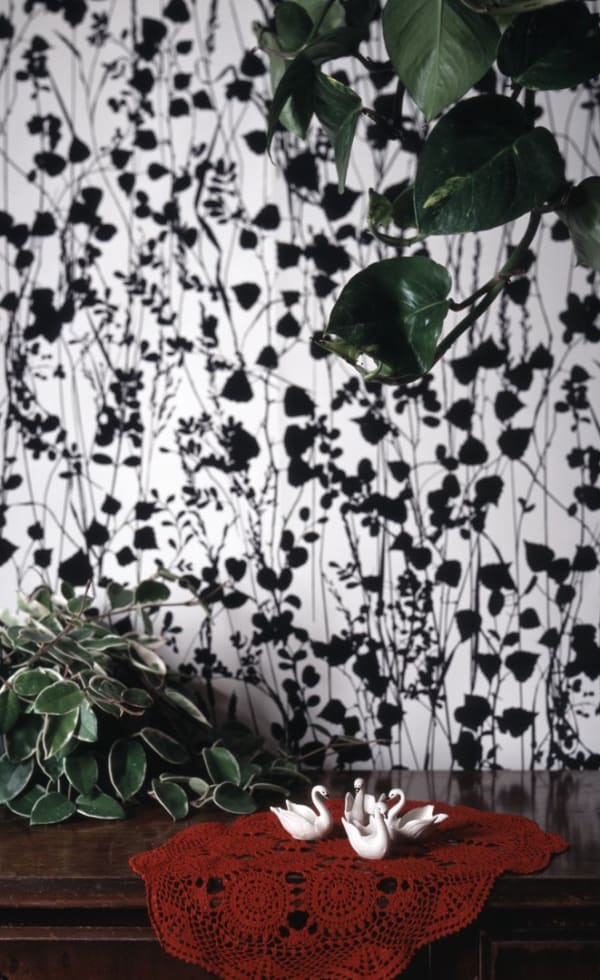 Digital c-print of a photograph which depicts four tiny white swan figurines placed onto a small dark red crochet doily. The swans and the doily rest on top of a dark wooden shelf and are surrounded by several plants and a vine patterned wallpaper