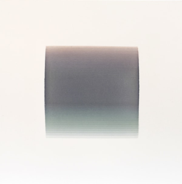 Nicole Phungrasamee Fein, 1073113, 2013