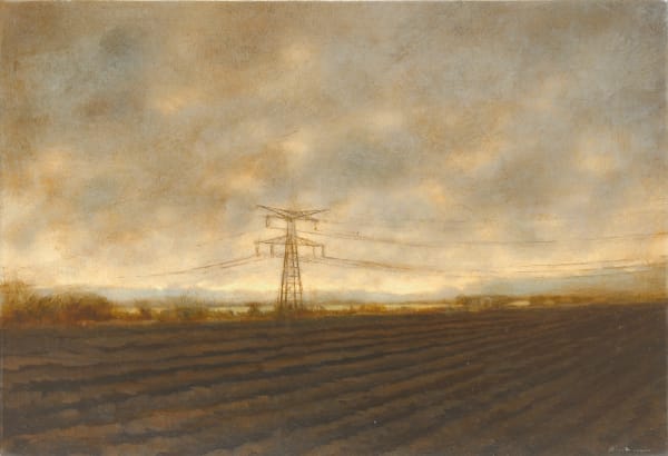 A field of rows of brown crops lies beneath a cell phone tower and a cloudy gray sky.